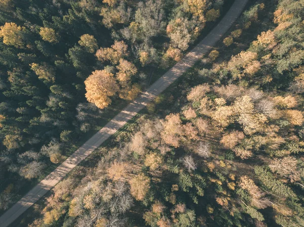 drone image. aerial view of rural area with gravel road in autumn colored fields and forests. latvia - vintage old film look