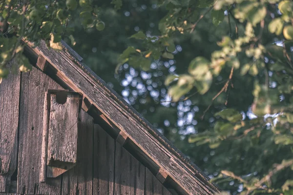 Delvis Skymd Utsikt Över Gamla Rustika Hus Slovakiska — Stockfoto