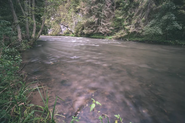 Lång Exponering Rocky Mountain River Sommar Med Högt Vatten Ström — Stockfoto