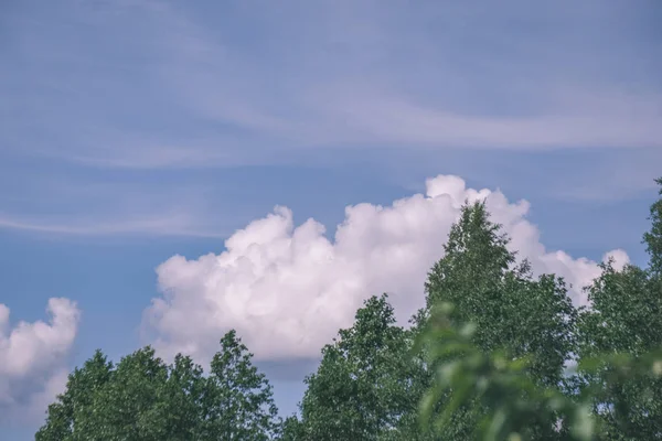 Впечатляющие Облака Над Зелеными Деревьями Летом — стоковое фото