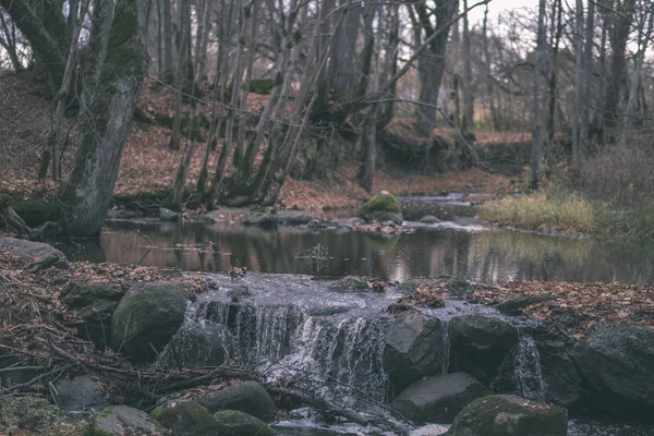 Cascade Sur Les Rochers Dans Ruisseau Rivière Forêt Fin Automne — Photo