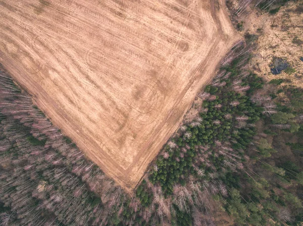 Immagine Del Drone Vista Aerea Della Zona Rurale Con Campi — Foto Stock