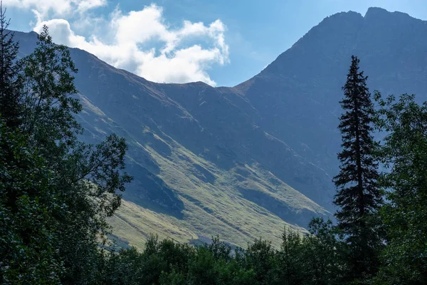 Oeste Las Montañas Cárpatos Con Rutas Senderismo Turístico Tatra Eslovaquia — Foto de Stock