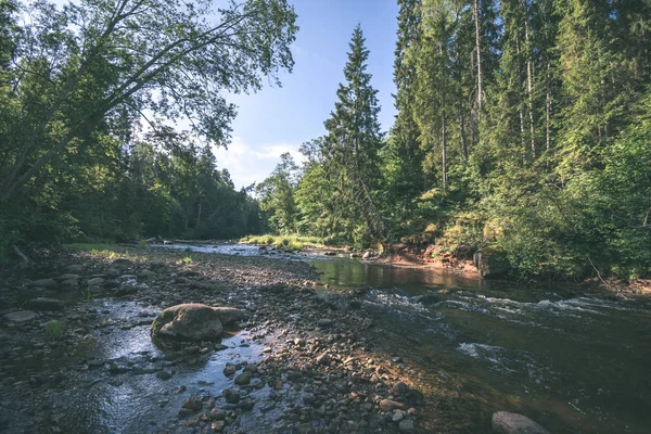 Beautiful Rocky Stream Forest Summer Amata River Latvia Cesis — Stock Photo, Image