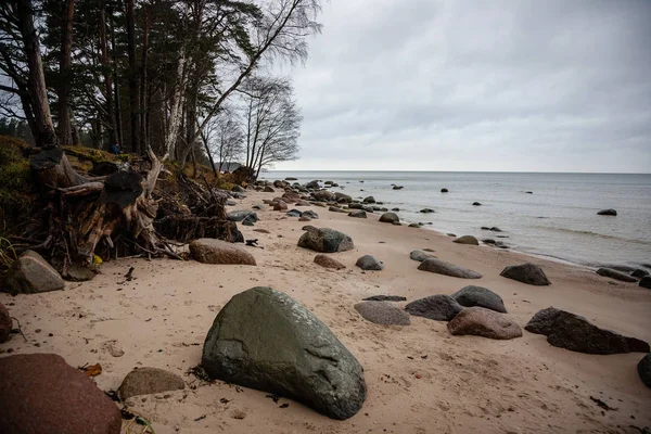 Sziklás Partvidék Lettországban Áramlási Víz Tengerben Késő Ősszel Nagy Sziklák — Stock Fotó