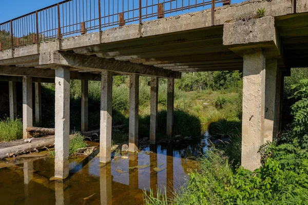 Композитный Пешеходный Мост Через Воду Лесу — стоковое фото