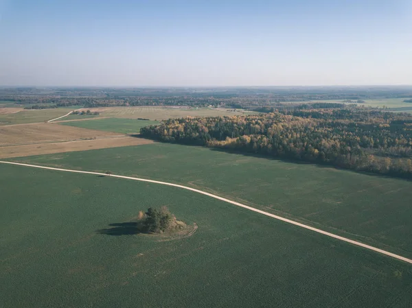 Drone Image Aerial View Rural Area Gravel Road Autumn Colored — Stock Photo, Image