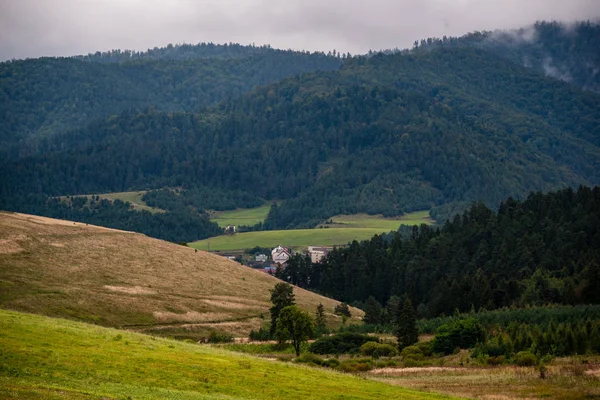 Zataženo Mlhavo Slovenská Západní Karpaty Tatra Mountain Panorama Pokryté Lesy — Stock fotografie