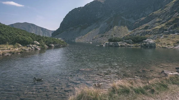 Bela Vista Panorâmica Lago Montanha Final Verão Eslovaco Carpathian Tatra — Fotografia de Stock