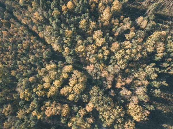 Imagem Drone Vista Aérea Área Rural Com Campos Florestas Dia — Fotografia de Stock