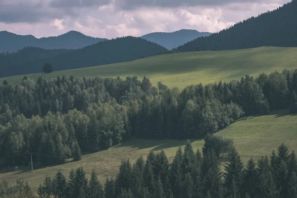 western carpathian Tatra mountain skyline with green fields and forests in foreground. summer in Slovakian hiking trails - vintage old film look