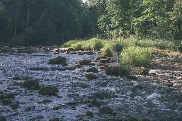 Beautiful Rocky Stream Forest Summer Amata River Latvia Cesis — Stock Photo, Image