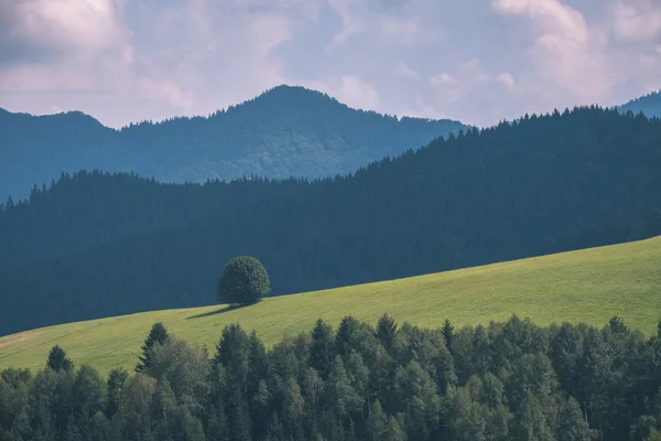 Piękne Karpaty Zachodnie Tatry Góry Skyline Zielonych Pól Lasów Pierwszym — Zdjęcie stockowe