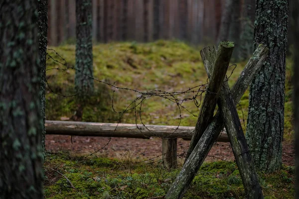 拉脱维亚森林中的古老木制的 洛兹梅奇杰卡恩斯 — 图库照片