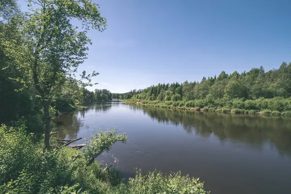 ツェーシス ラトビアの近くの木の反射で穏やかな川 ガウヤ川 — ストック写真