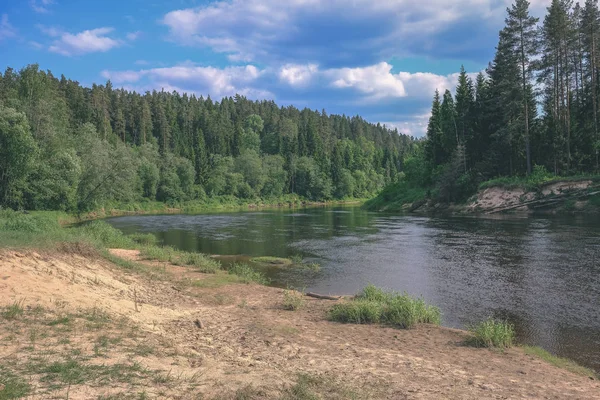 Rio Calmo Com Reflexos Árvores Perto Cesis Letônia Rio Gauja — Fotografia de Stock