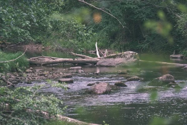 Córrego Rochoso Rio Profundo Floresta Verão Rio Amata Letônia Perto — Fotografia de Stock