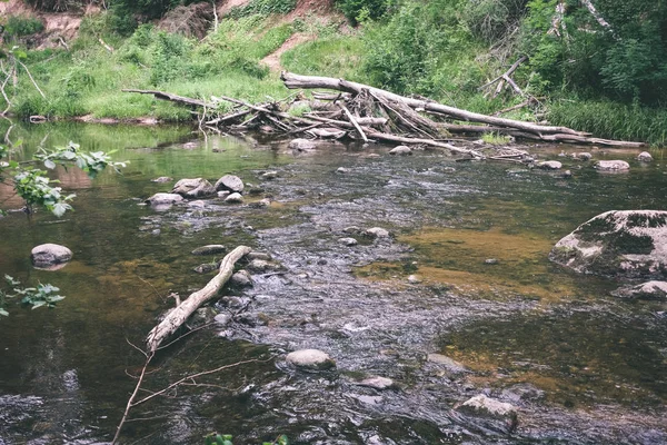 Arroyo Rocoso Río Profundo Bosque Tiempo Verde Verano Con Acantilados —  Fotos de Stock