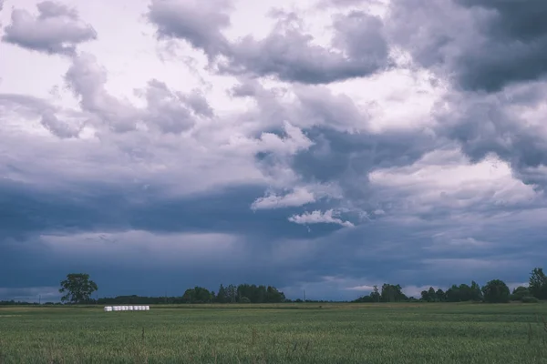 Vihar Felhők Fölött Zöld Rét Néhány Fák Nyáron — Stock Fotó