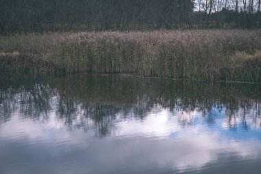 sonbahar renkli ağaçlar ve dalları bir su parkı bırakır. vintage eski film ülke yan yatay görünüm - bak