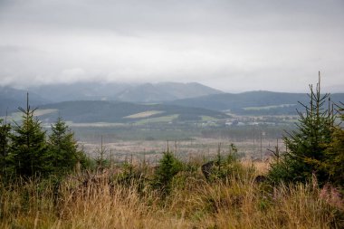 erken sonbahar renkleri içinde ağaçlar ve ormanlar ile kaplı bulutlu ve sisli Slovakça Western Karpat Tatra dağ manzarası