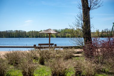 su yeşil yaz orman çevresinde göl ile ahşap ve kompozit malzeme ayak köprüden