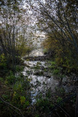 su yansımalar ve dramatik fırtına bulutları yukarıdaki güzel göl