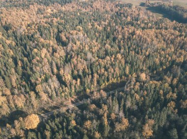 drone görüntü. hava alanları ve sarı renkli bulutlu sonbahar günü ormanlarda kırsal alan görünümünü ağaçlar gün düşer. Letonya - vintage eski film bakmak