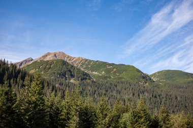 ormanlar ve ağaçlar erken sonbaharda kaplı bulutlu Slovakça Western Karpat Tatra dağ manzarası