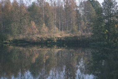 Doğa yansımalar göl veya nehir kırsal su temizleyin. sonbahar renkleri - vintage eski göz film.