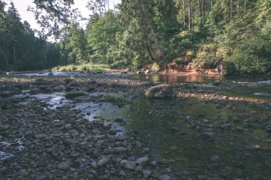 yaz, ormandaki güzel kayalık akarsu. Letonya Cesis yakınındaki nehirde Amata 