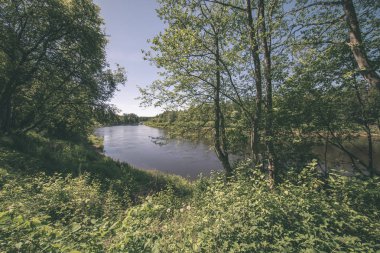 sakin Nehri yakınındaki Cesis, Letonya ağaçlarının yansımaları ile. Gauja Nehri