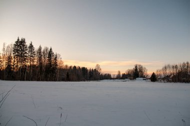 Kışın kar yüksek düzeyde ile geç gün batımından önce akşam, vahşi orman