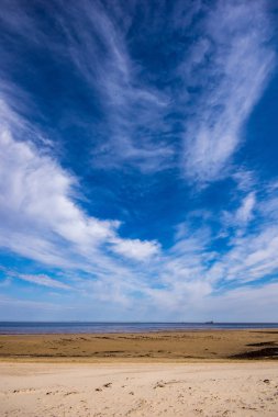 boş deniz plaj bazı kuşlar ve kargo ile bahar ufukta gemi. mavi gökyüzü, hiçbir bulutlar