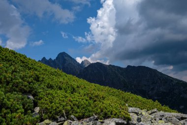 Batı Karpat dağ panorama açık gün. Tatra turistler için yürüyüş parkurları. uzak ufuk