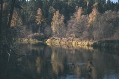 Doğa yansımalar göl veya nehir kırsal su temizleyin. sonbahar renkleri - vintage eski göz film.