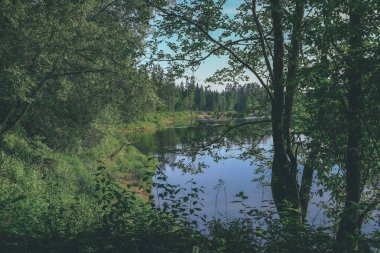sakin Nehri yakınındaki Cesis, Letonya ağaçlarının yansımaları ile. Gauja Nehri