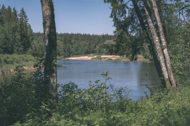 sakin Nehri yakınındaki Cesis, Letonya ağaçlarının yansımaları ile. Gauja Nehri