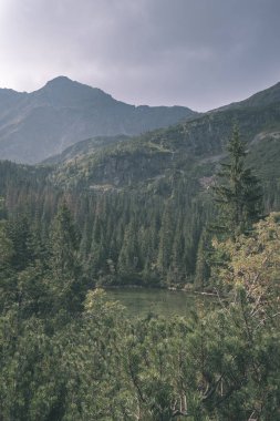 güzel Batı Karpat Tatra dağ manzarası yeşil alanları ve ormanları ön planda. Yaz aylarında yürüyüş parkurları Slovakça