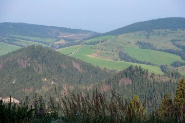 Turistik yürüyüş parkurları ile Batı Karpat Dağları. Tatra, Slovakya