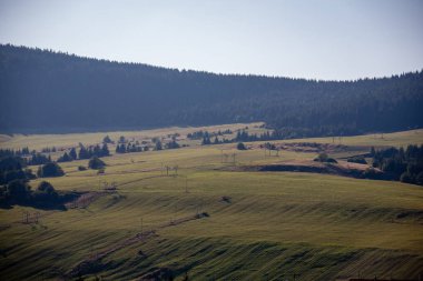 erken sonbahar renkleri içinde ağaçlar ve ormanlar ile kaplı bulutlu ve sisli Slovakça Western Karpat Tatra dağ manzarası