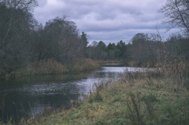 sonbahar renkli ağaçlar ve dalları bir su parkı bırakır. vintage eski film ülke yan yatay görünüm - bak