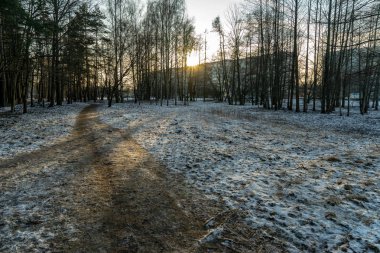 Kışın kar yüksek düzeyde ile geç gün batımından önce akşam, forest yakınındaki binalar