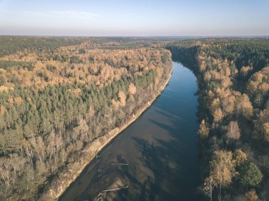 drone görüntü. sonbahar renkli ormandaki dalgalı Nehri'nin havadan görünümü. Letonya, nehir gauja - vintage eski film bakmak