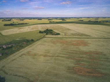 drone görüntü. alanları ve ormanları ve bulutlu bahar günü nehir su yansımalar kırsal alan hava görünümünü. Letonya - vintage eski film bakmak