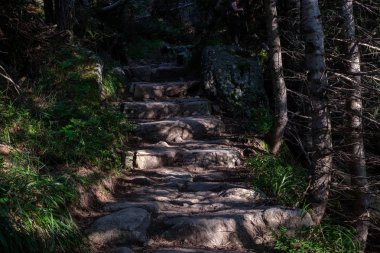 Slovakya dağlarda taş merdiven yakın çekim vurdu