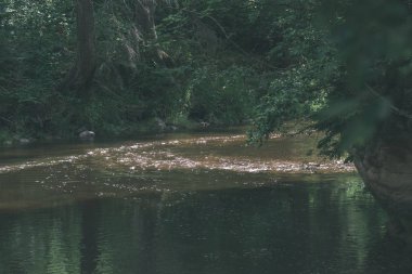 Nehir derin orman kumtaşı kayalıklarla ve eski kuru ağaç gövdeleri ile yaz yeşil havalarda kayalık akış. Letonya Cesis - vintage eski film bakmak yakınındaki nehirde Amata