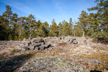 Yaz aylarında ormandaki kaç çam ağaçları Finlandiya'da kayalık sahil şeridine