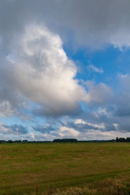bulutlar ve sakin su ile deniz plaj manzarası. renkli sahne