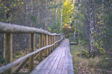 gri renkler - vintage eski film bakmak ile sonbahar ormanda suda ahşap tahta köprüden